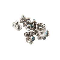 Набор винтов iPhone 7 Plus / золото