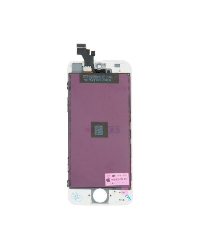 Дисплей в сборе iPhone 5 / Shenchao / белый