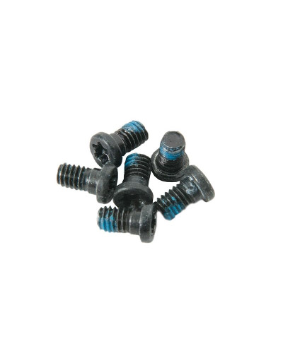 Набор винтов петель дисплея 6шт MacBook Air 13 A1369 A1466 Late 2010 - Mid 2017