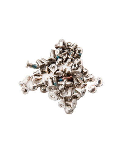 Набор винтов iPhone 6S / золото