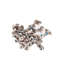 Набор винтов iPhone 6 Plus / золото