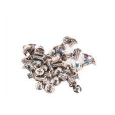 Набор винтов iPhone 6 Plus / золото