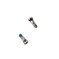 Набор нижних винтов 2шт. iPhone 7 / 7 Plus / серебро