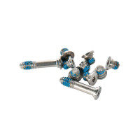 Набор винтов нижней части корпуса 10шт MacBook Air 13 A1369 A1466 Late 2010 - Mid 2017