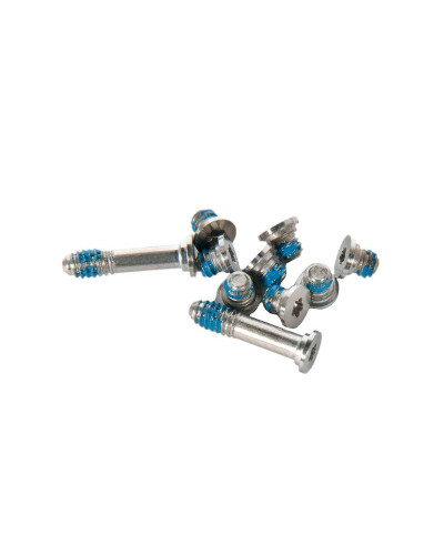 Набор винтов нижней части корпуса 10шт MacBook Air 13 A1369 A1466 Late 2010 - Mid 2017